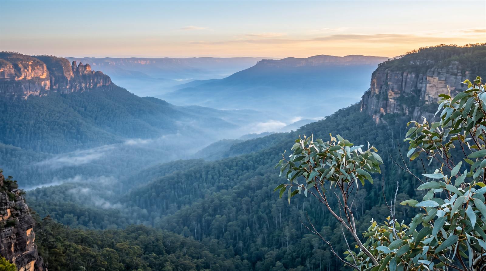 Australische Blue Mountains – Täler voller Eukalyptuswälder im bläulichen Morgendunst